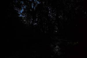 BIB: 
                            <button type="button" onclick="openModal(19245494)" class="btn btn-primary btn-sm float-right btn-popup" data-toggle="modal" data-target=".modal-high-quality">
                        <i class="fas fa-shopping-cart"></i> Add to Cart
                    </button>
                                            <button type="button" onclick="isThisMe(19245494, true)" class="btn btn-success btn-sm float-right btn-popup btn-isme hidden" data-toggle="tooltip" data-placement="bottom" title="นี่คือรูปของคุณใช่ไหม คลิกที่นี่เพื่อเอาเข้าอัลบั้ม">
                        <i class="fas fa-plus"></i> Add to album
                    </button>
                    <button type="button" onclick="isThisMe(19245494, false)" class="btn btn-warning btn-sm float-right btn-popup btn-isnotme hidden">
                        <i class="fas fa-ban"></i> Remove from album
                    </button>